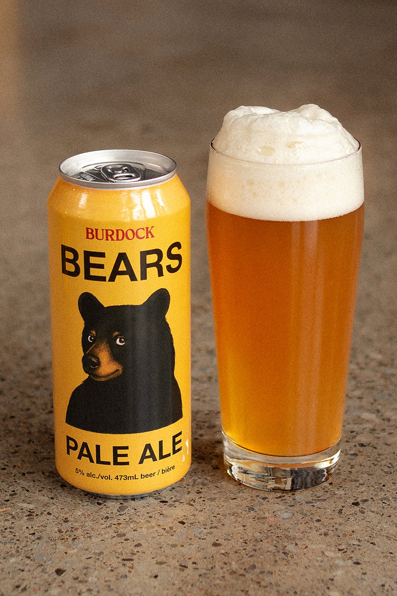 BEARS (6-Pack)