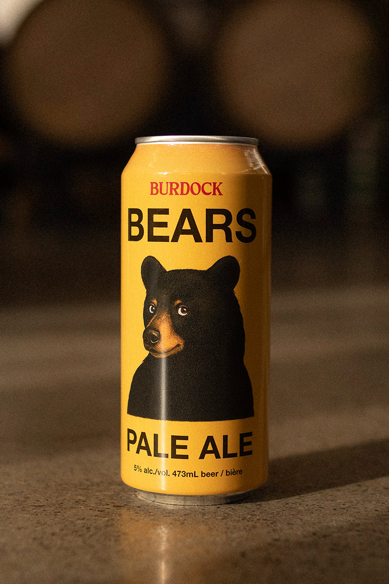BEARS (6-Pack)