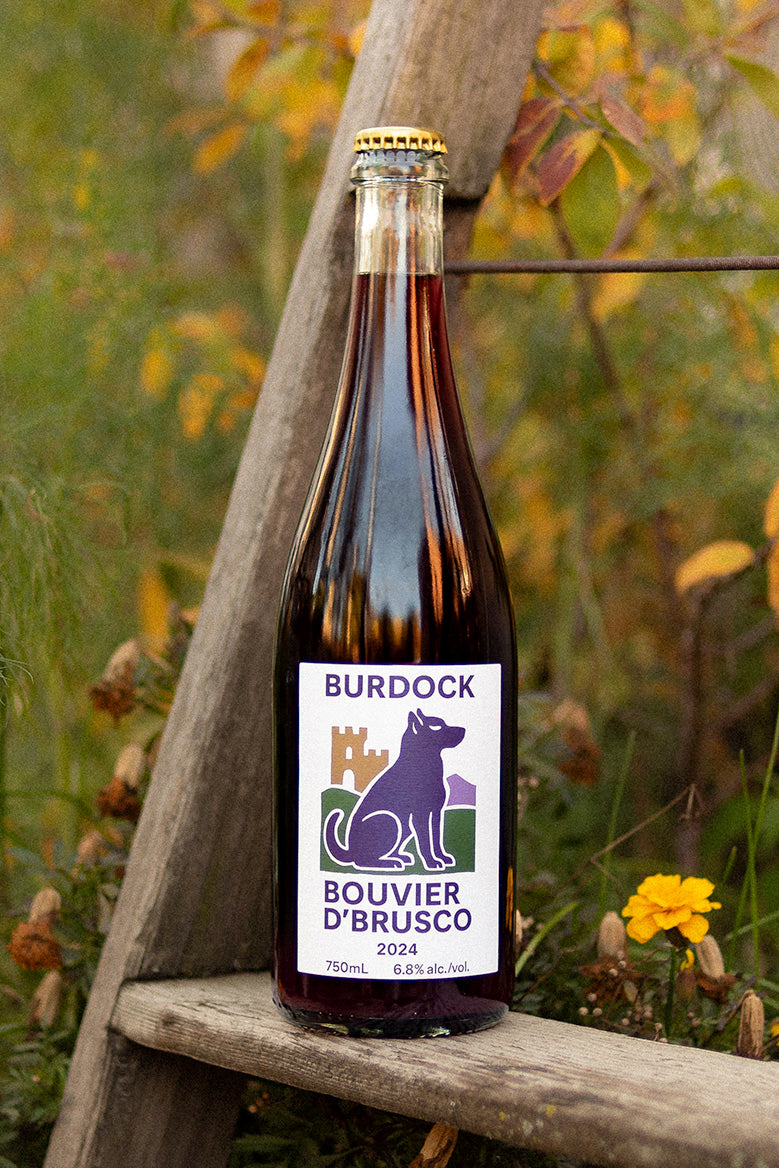 Bouvier D'Brusco