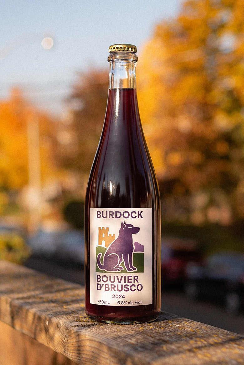 Bouvier D'Brusco