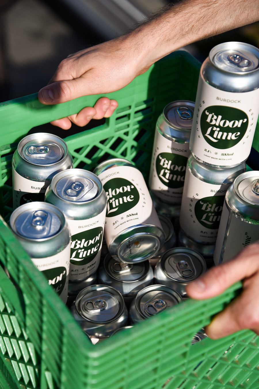 Bloor Lime 24-Pack (3.1%)