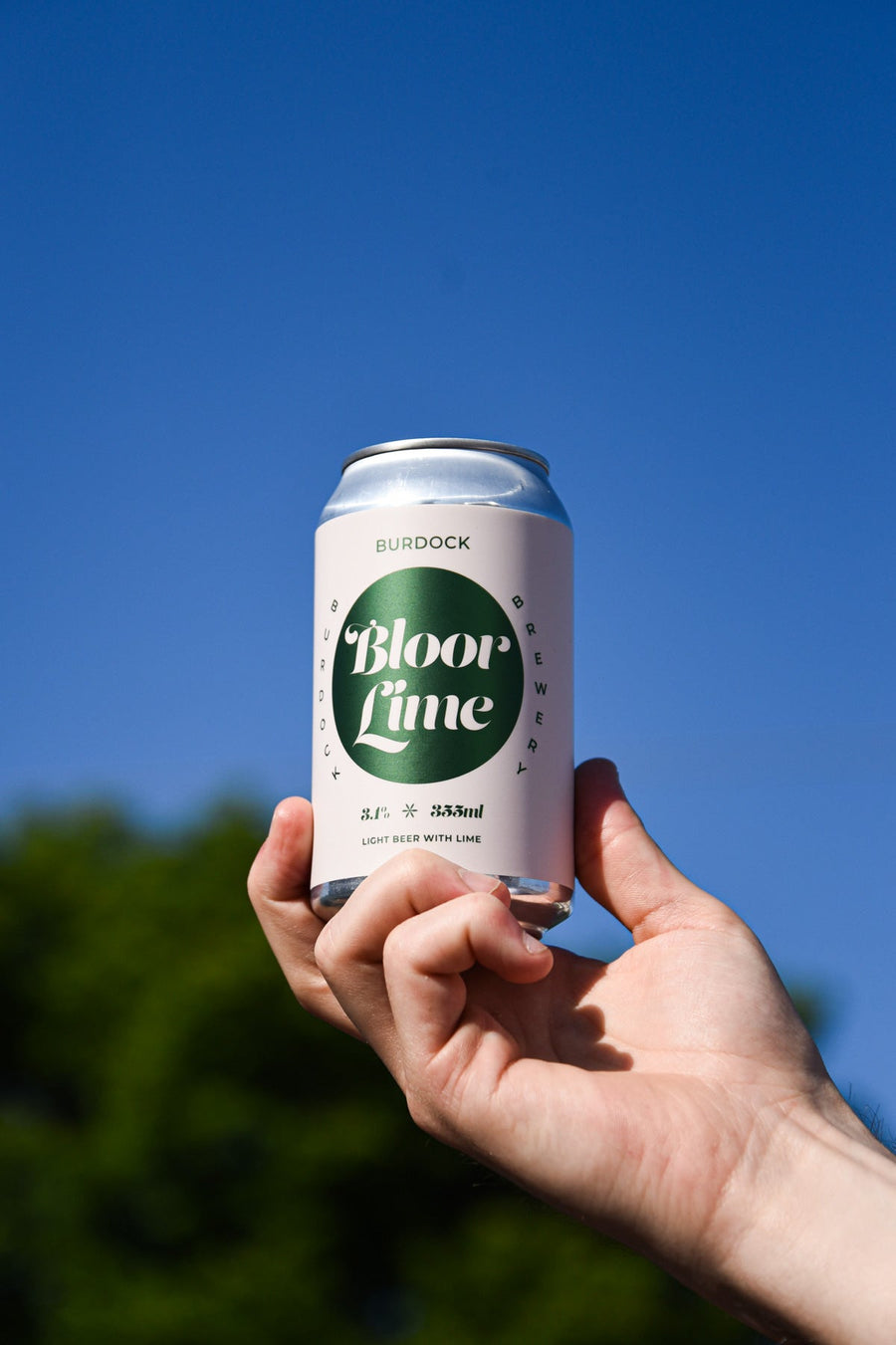 Bloor Lime 24-Pack (3.1%)