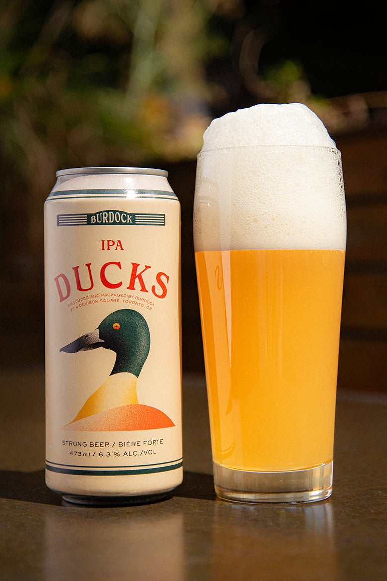 Ducks (6-Pack)