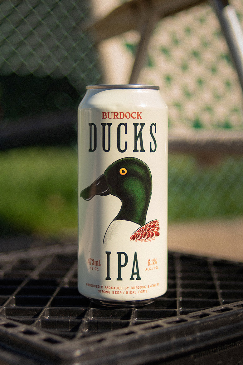 Ducks