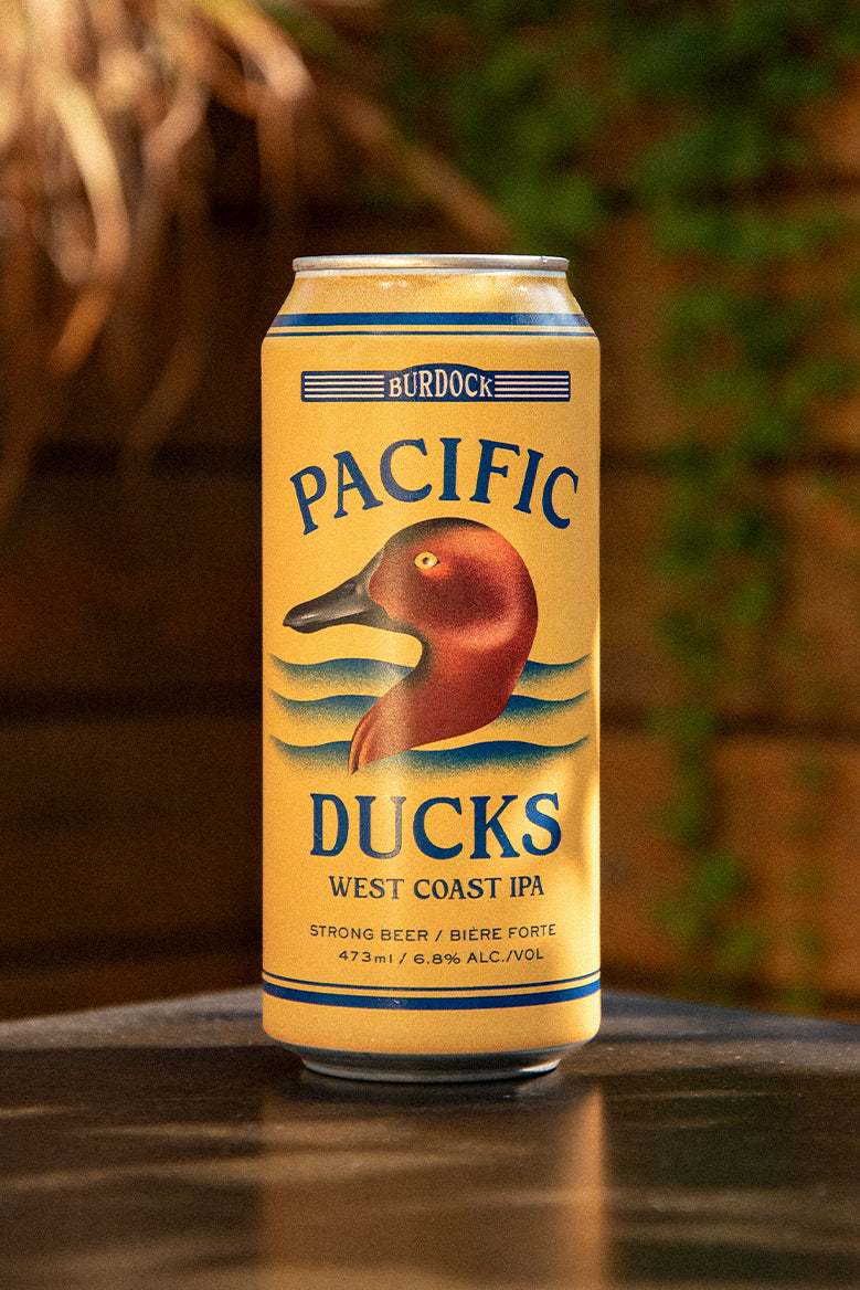 Pacific Ducks (6-Pack)