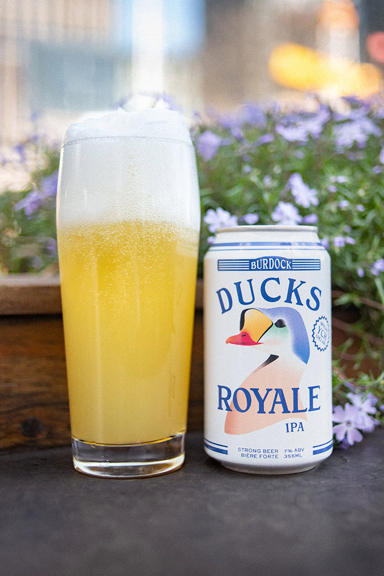 Ducks Royale (6-Pack)