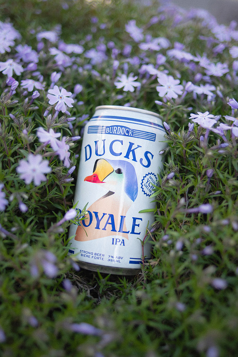 Ducks Royale (6-Pack)
