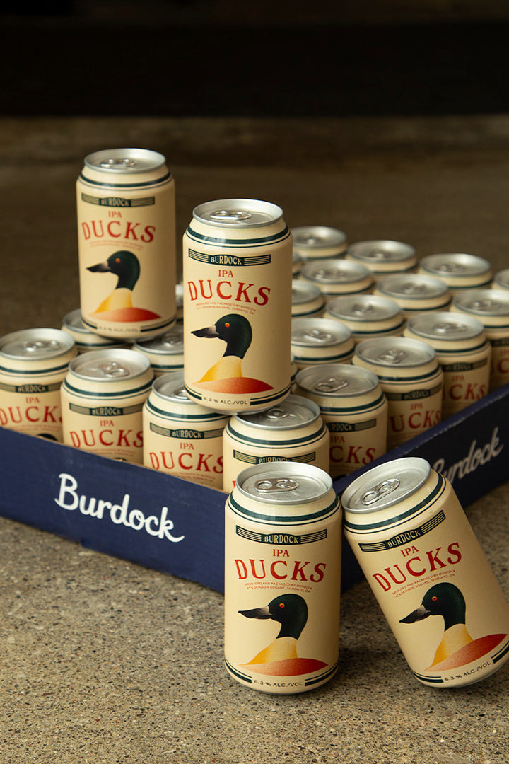 Ducks 24-Pack (6.3%)