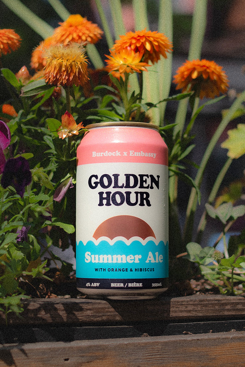 Golden Hour (6-Pack)