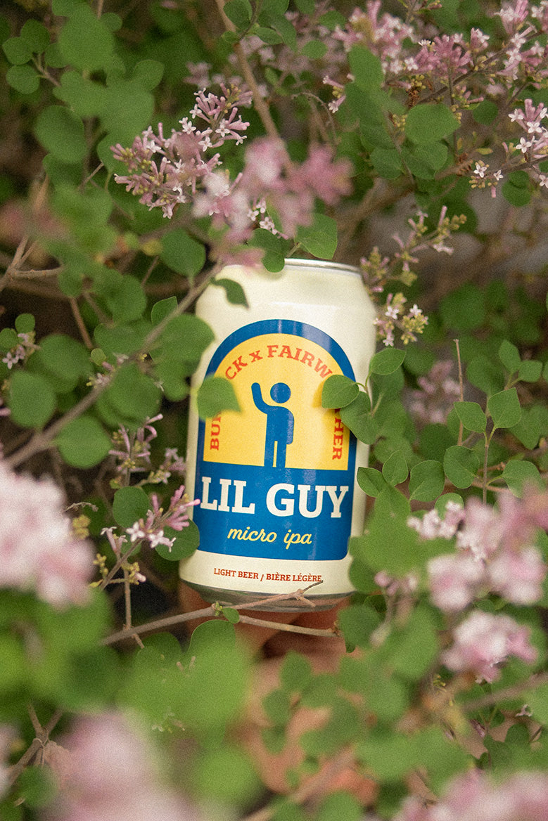 Lil Guy (6-Pack)
