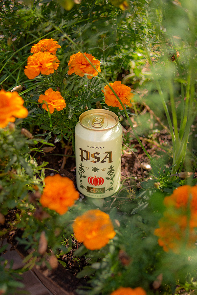 PSA (6-Pack)