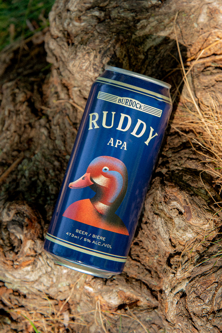Ruddy (6-Pack)