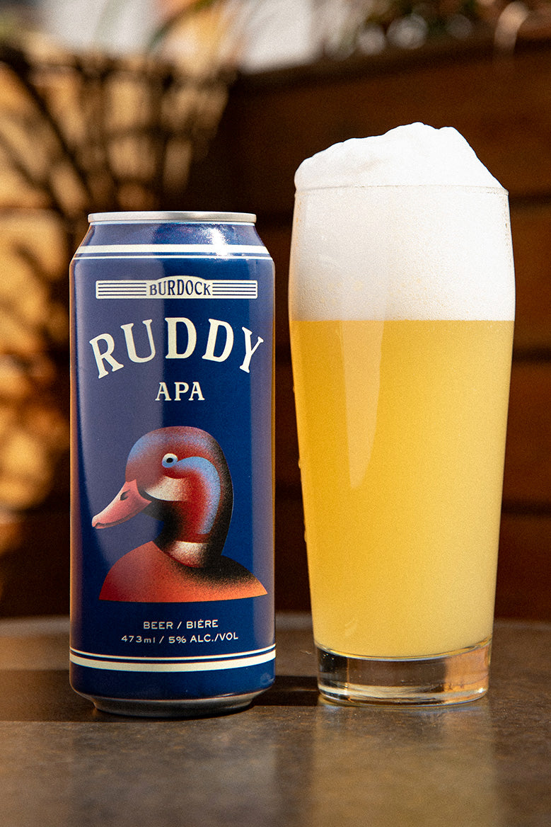 Ruddy (6-Pack)