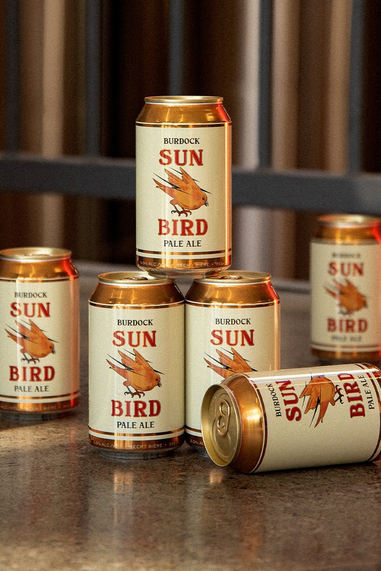 Sun Bird (6-Pack)