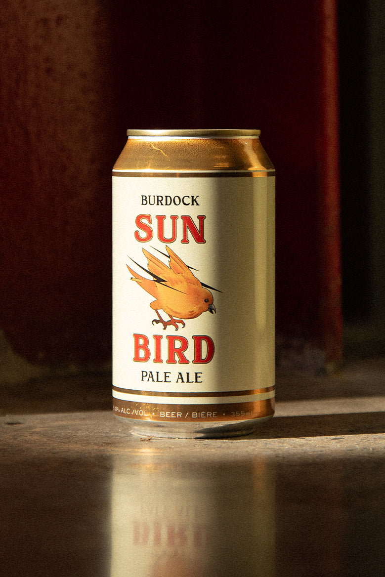 Sun Bird (6-Pack)