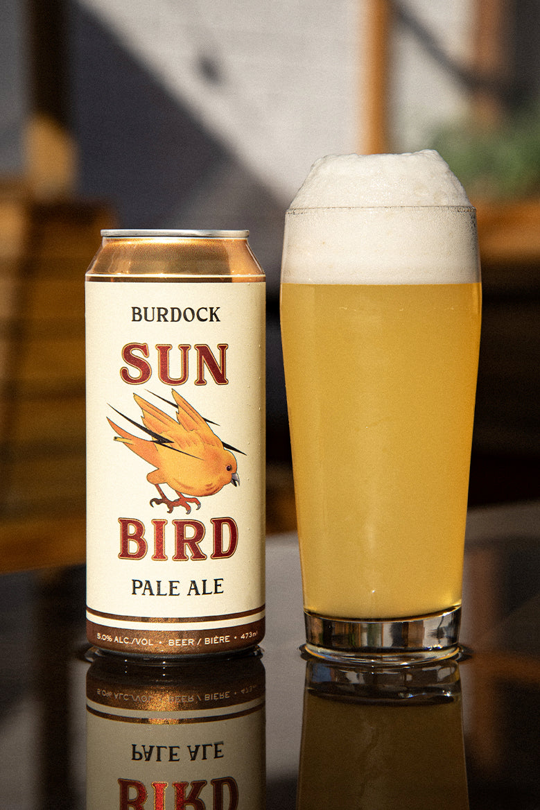 Sun Bird (5%)