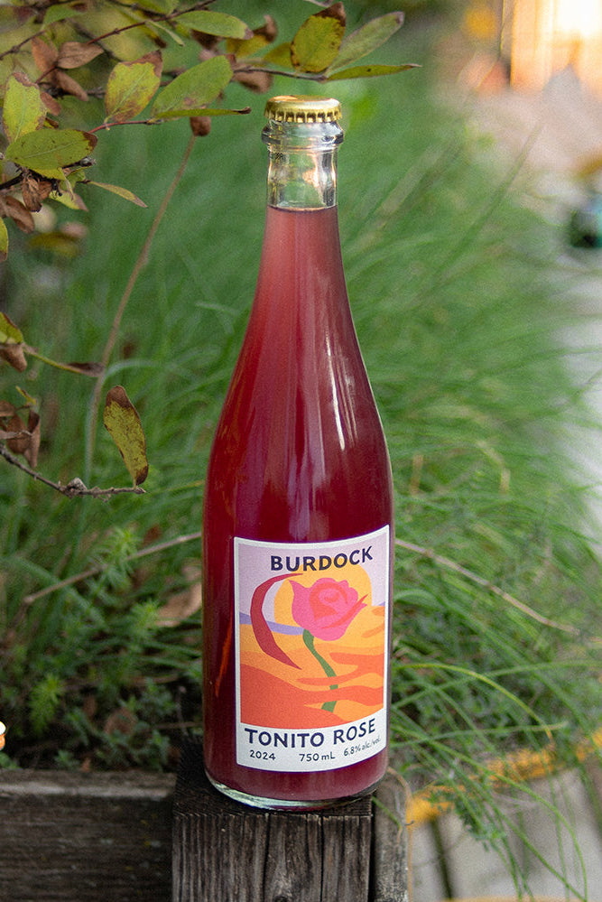 Tonito Rose (Case of 6)