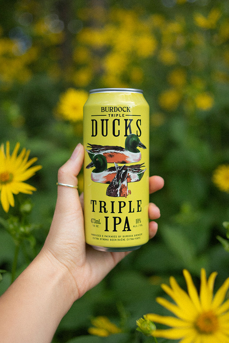Triple Ducks (6-Pack)
