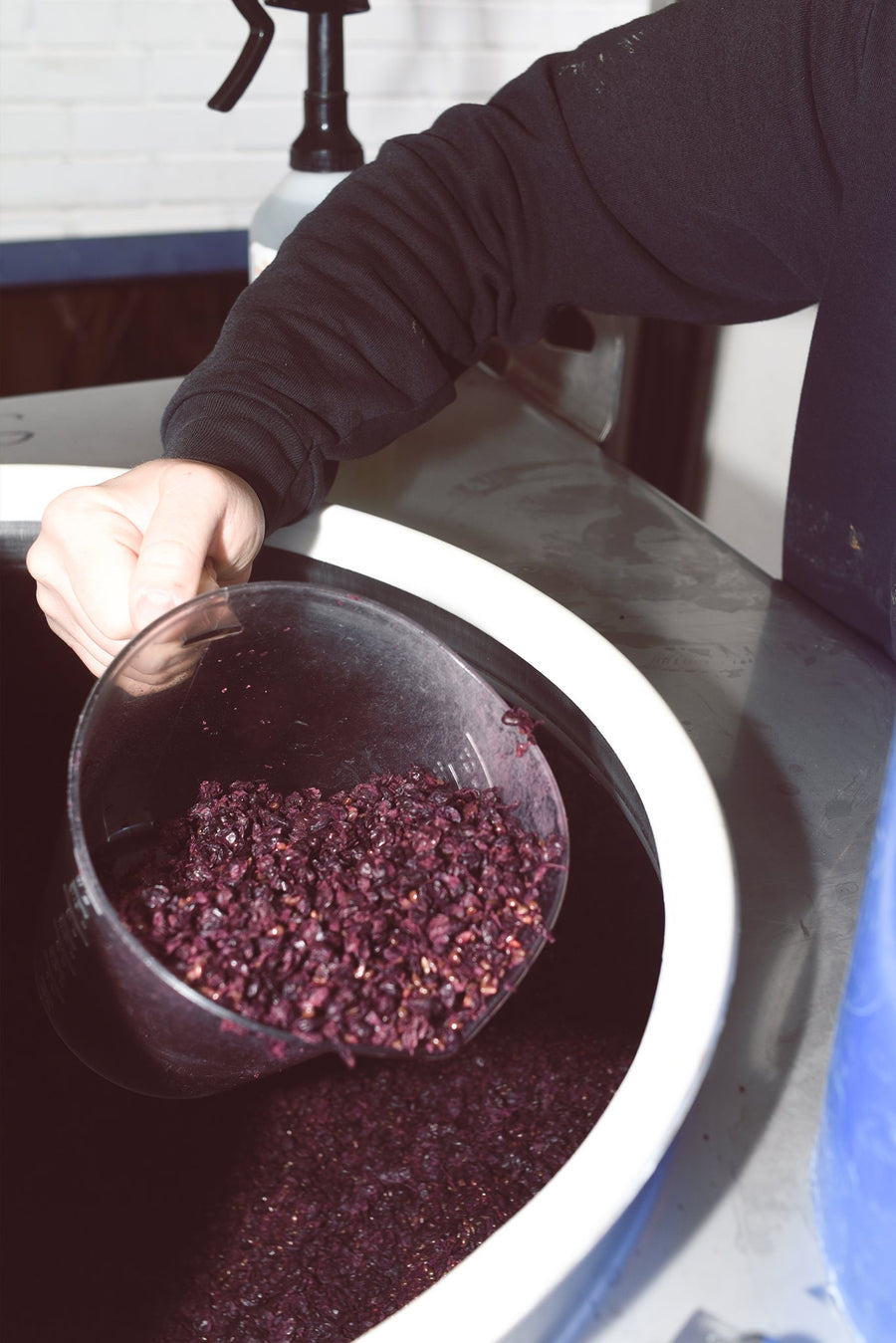 Gamay Fresco (Case of 6)