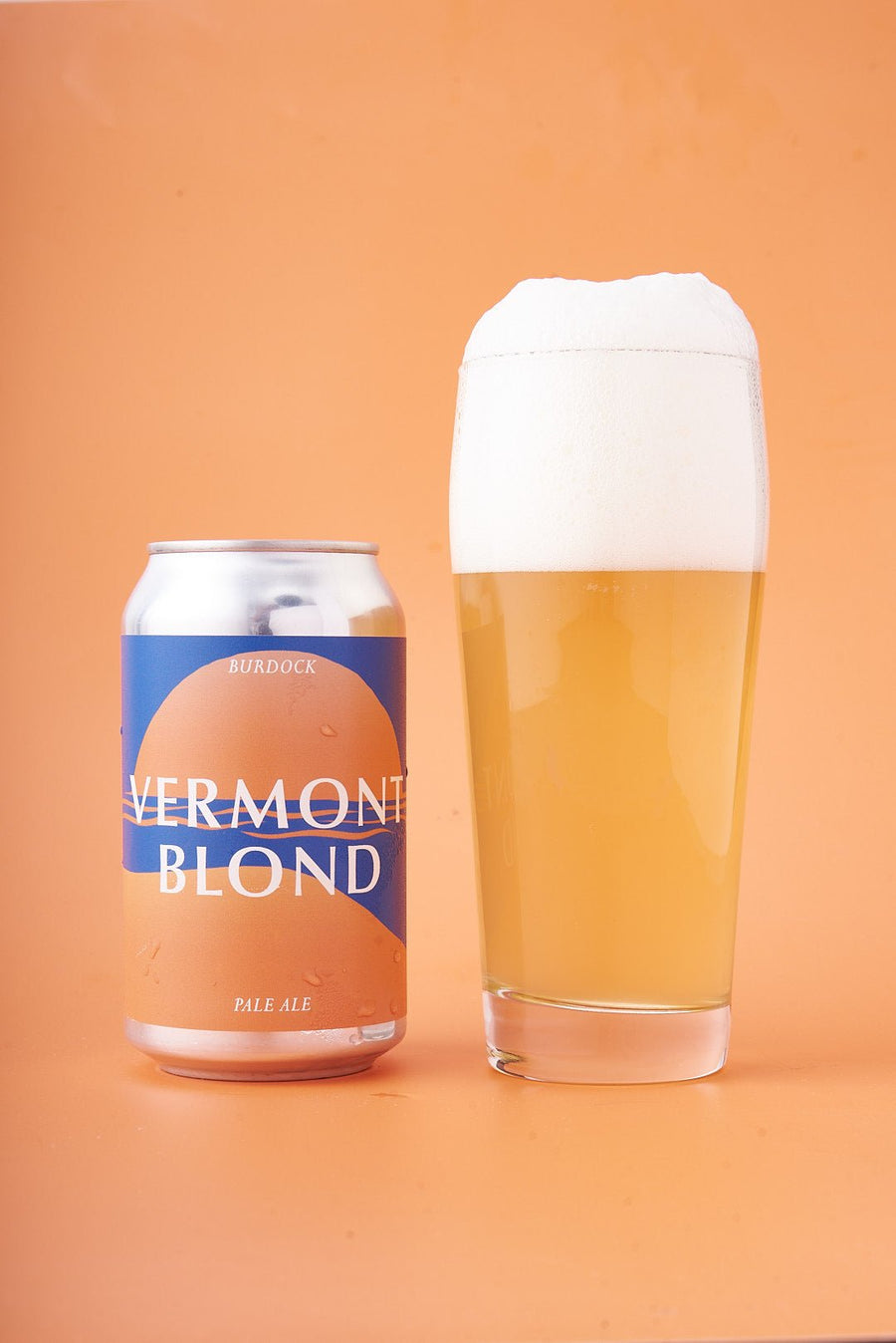 Vermont Blond 24-Pack (4.5%) - Beer - Burdock Brewery